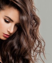 Sexy Beautiful Woman Fashion Model with Perfect Hairstyle and Makeup. Brunette Beauty