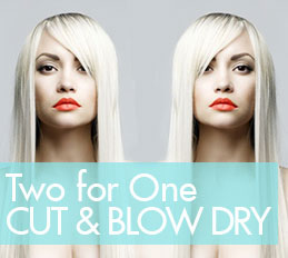 TWO FOR ONE CUT AND BLOW DRY AT PAISLEY