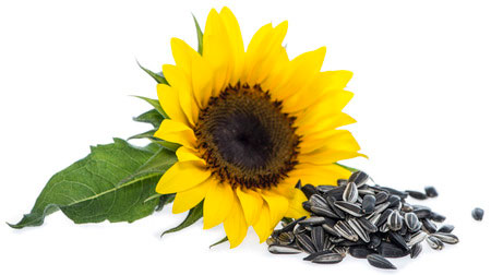 Eat Your Way To Healthy Hair!