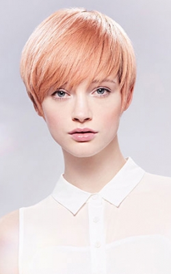 Haircuts & Hairstyles at My Hair Guru, Paisley